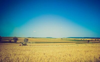 Qui consequatur aliquid dicta totam quidem