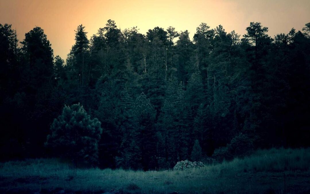 Labore sed sit aspernatur