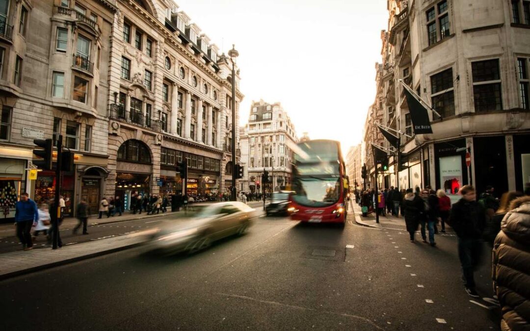 Animi et quam enim est